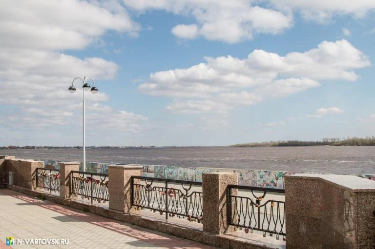 Уровень воды в реке Оби на 3 июля