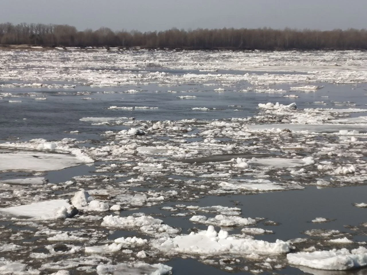 УРОВЕНЬ ВОДЫ В РЕКЕ ОБИ НА 10 МАЯ