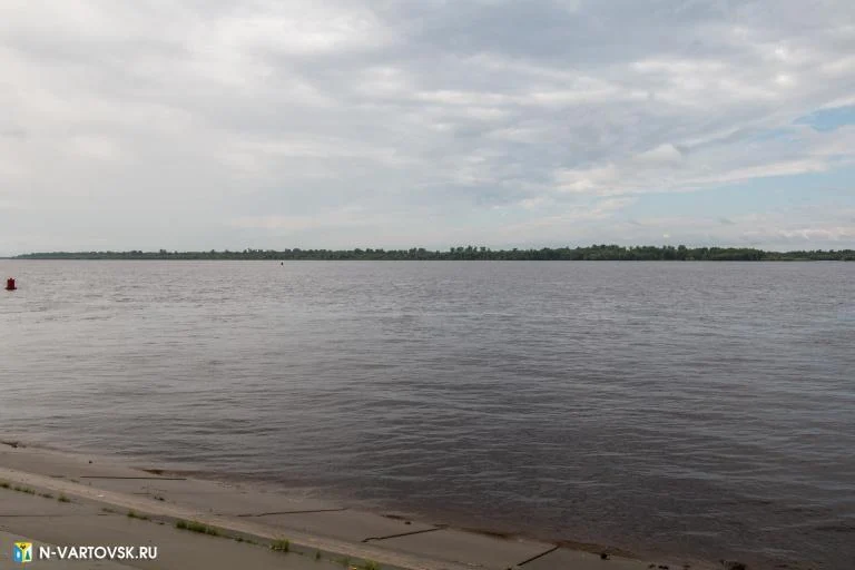 Уровень воды в реке Оби на 1 июня